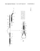 SEQUENCE AMPLIFICATION WITH LOOPABLE PRIMERS diagram and image