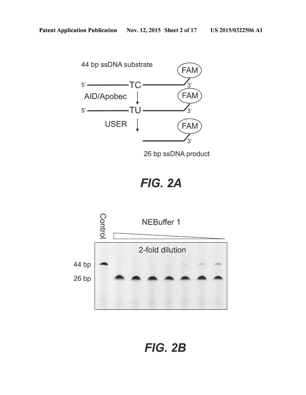 Methods and Compositions for Discrimination Between Cytosine and     Modifications Thereof, and for Methylome Analysis - diagram, schematic, and image 03