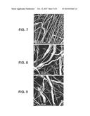 HYBRID NON-WOVEN WEB AND AN APPARATUS AND METHOD FOR FORMING SAID WEB diagram and image