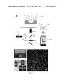 WIRELESS COMMUNICATION DEVICE-BASED DETECTION SYSTEM diagram and image