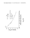 Artificial Sieving Structures diagram and image