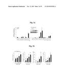 PHARMACEUTICAL COMPOSITIONS COMPRISING INHIBITORS OF ZINC-ZIP8-MTF1 AS     ACTIVE INGREDIENTS FOR PREVENTING OR TREATING A JOINT DISEASE diagram and image