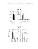 PHARMACEUTICAL COMPOSITIONS COMPRISING INHIBITORS OF ZINC-ZIP8-MTF1 AS     ACTIVE INGREDIENTS FOR PREVENTING OR TREATING A JOINT DISEASE diagram and image