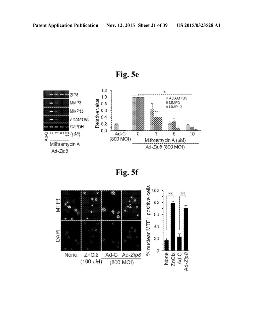 PHARMACEUTICAL COMPOSITIONS COMPRISING INHIBITORS OF ZINC-ZIP8-MTF1 AS     ACTIVE INGREDIENTS FOR PREVENTING OR TREATING A JOINT DISEASE - diagram, schematic, and image 22