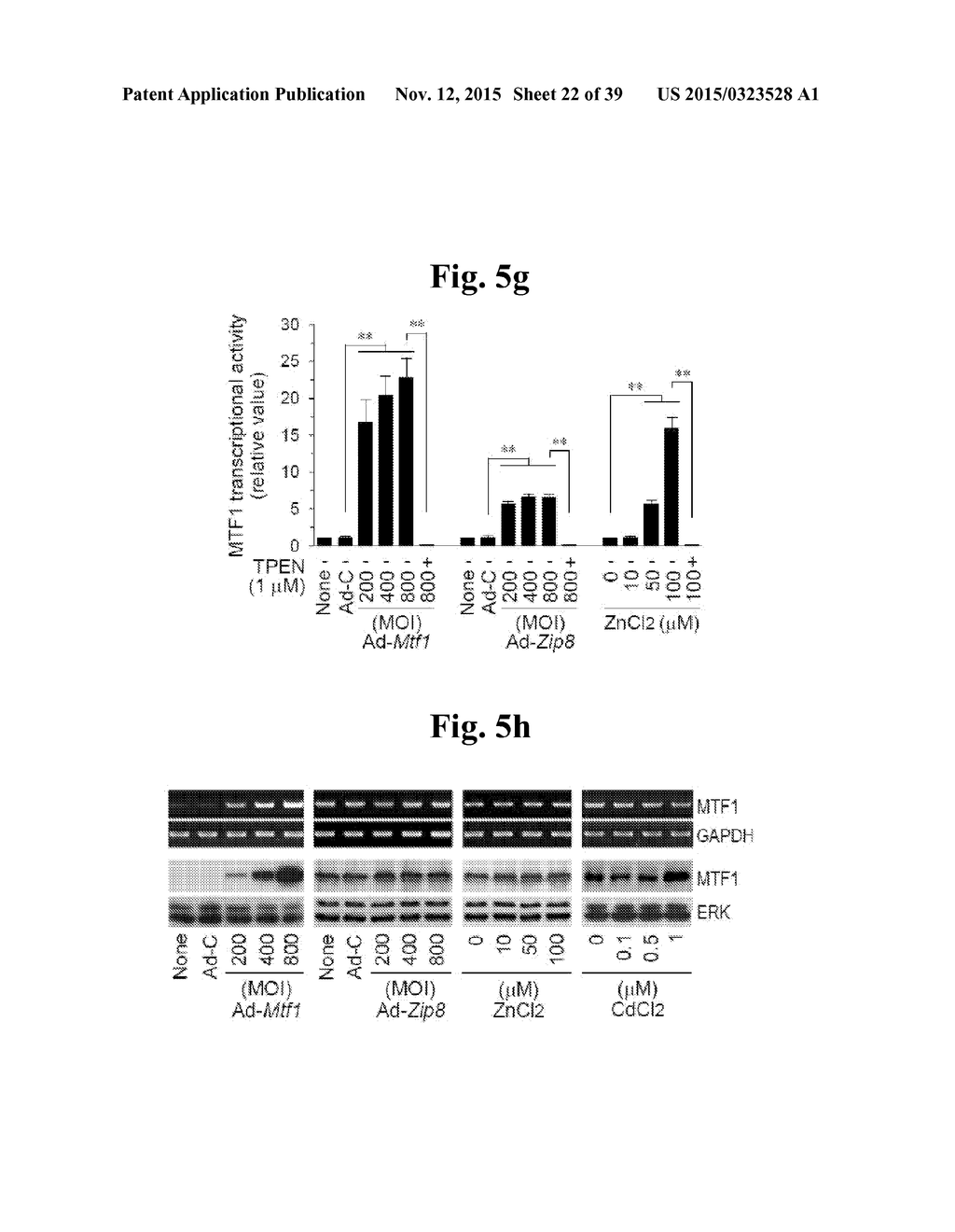 PHARMACEUTICAL COMPOSITIONS COMPRISING INHIBITORS OF ZINC-ZIP8-MTF1 AS     ACTIVE INGREDIENTS FOR PREVENTING OR TREATING A JOINT DISEASE - diagram, schematic, and image 23