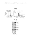 PHARMACEUTICAL COMPOSITIONS COMPRISING INHIBITORS OF ZINC-ZIP8-MTF1 AS     ACTIVE INGREDIENTS FOR PREVENTING OR TREATING A JOINT DISEASE diagram and image