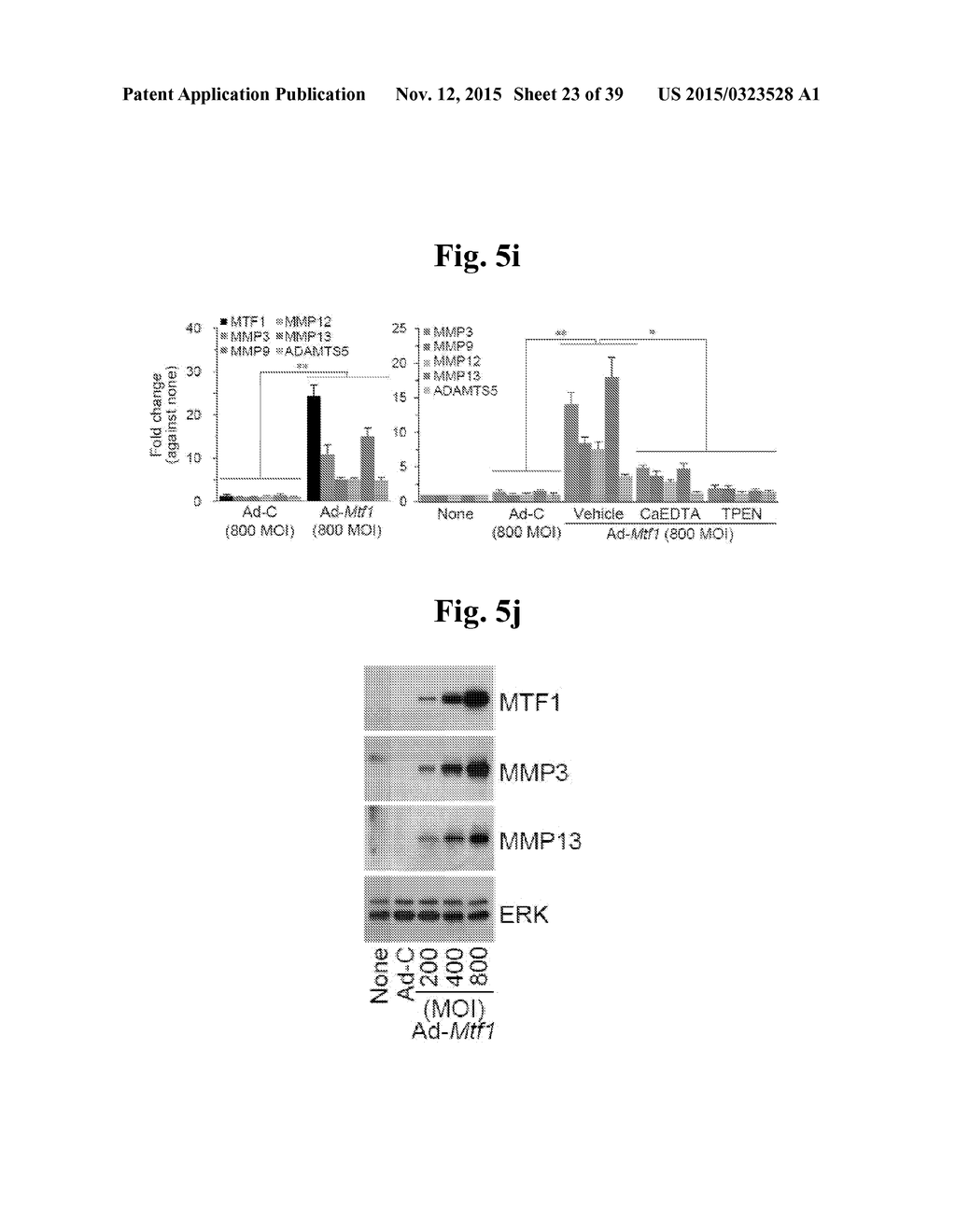 PHARMACEUTICAL COMPOSITIONS COMPRISING INHIBITORS OF ZINC-ZIP8-MTF1 AS     ACTIVE INGREDIENTS FOR PREVENTING OR TREATING A JOINT DISEASE - diagram, schematic, and image 24