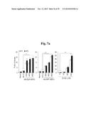 PHARMACEUTICAL COMPOSITIONS COMPRISING INHIBITORS OF ZINC-ZIP8-MTF1 AS     ACTIVE INGREDIENTS FOR PREVENTING OR TREATING A JOINT DISEASE diagram and image