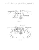 Display Device and Electronic Apparatus diagram and image