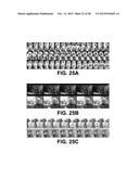 Distributive Hierarchical Model for Object Recognition in Video diagram and image