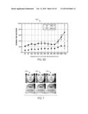 IMAGE CONGEALING VIA EFFICIENT FEATURE SELECTION diagram and image