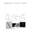 HIGH EFFICIENCY BROADBAND SEMICONDUCTOR NANOWIRE DEVICES diagram and image