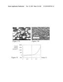 HIGH EFFICIENCY BROADBAND SEMICONDUCTOR NANOWIRE DEVICES diagram and image