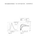 HIGH EFFICIENCY BROADBAND SEMICONDUCTOR NANOWIRE DEVICES diagram and image