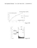 HIGH EFFICIENCY BROADBAND SEMICONDUCTOR NANOWIRE DEVICES diagram and image