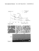 HIGH EFFICIENCY BROADBAND SEMICONDUCTOR NANOWIRE DEVICES diagram and image