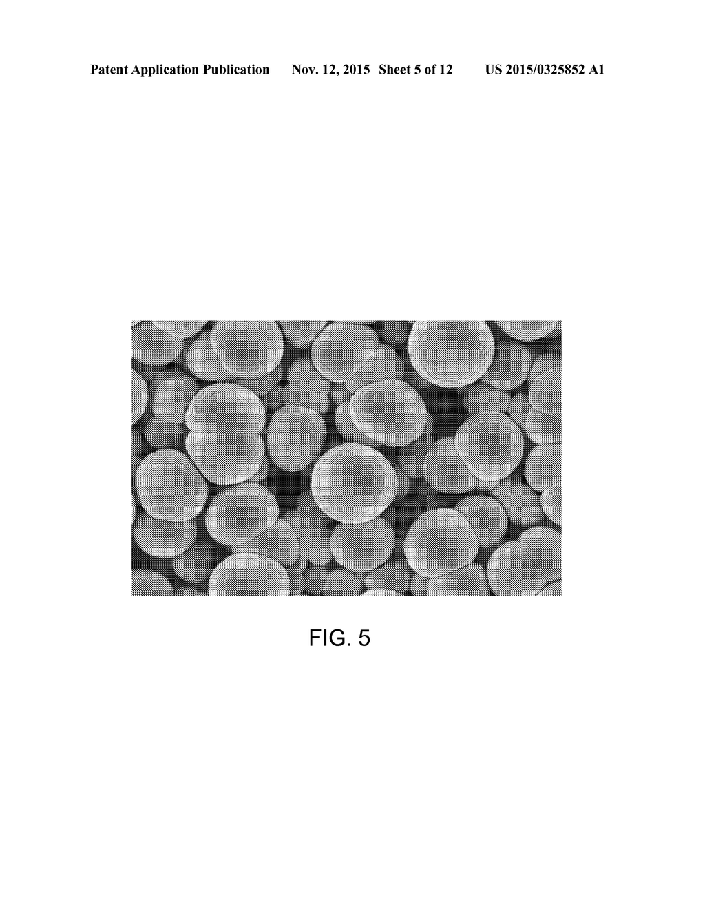 STRUCTURALLY CONTROLLED DEPOSITION OF SILICON ONTO NANOWIRES - diagram, schematic, and image 06