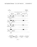 MEASUREMENT METHOD, CELL MEASUREMENT METHOD, APPARATUS, AND COMMUNICATIONS     NODE diagram and image