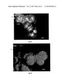 Heat transfer component with dendritic crystal structures and purpose and     method of use for such a component diagram and image