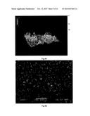 Heat transfer component with dendritic crystal structures and purpose and     method of use for such a component diagram and image