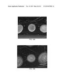 Analyte Sensors Comprising High-Boiling Point Solvents diagram and image