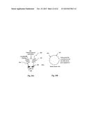 METHOD FOR PROCESSING BRAINWAVE SIGNALS diagram and image