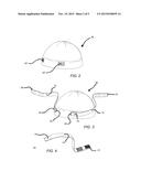 Head and Neck Support Apparatus diagram and image