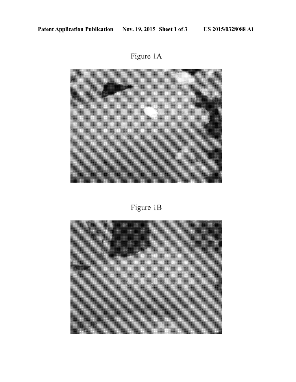 SUNSCREEN PRODUCTS IN WHICH EXCESSIVE WHITENESS DUE TO TITANIUM DIOXIDE     AND ZINC OXIDE IS VISUALLY MASKED UPON SKIN APPLICATION - diagram, schematic, and image 02