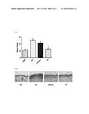 Skin-Moisturising or Wrinkle-Improving External Composition and Cosmetic     Composition diagram and image