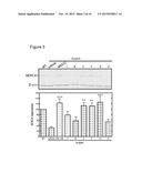 A CFTR CORRECTOR FOR THE TREATMENT OF GENETIC DISORDERS AFFECTING STRIATED     MUSCLE diagram and image