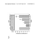 A CFTR CORRECTOR FOR THE TREATMENT OF GENETIC DISORDERS AFFECTING STRIATED     MUSCLE diagram and image