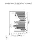 A CFTR CORRECTOR FOR THE TREATMENT OF GENETIC DISORDERS AFFECTING STRIATED     MUSCLE diagram and image