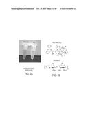 FUCOIDAN NANOGELS AND METHODS OF THEIR USE AND MANUFACTURE diagram and image