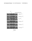 FUCOIDAN NANOGELS AND METHODS OF THEIR USE AND MANUFACTURE diagram and image