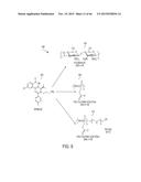 FUCOIDAN NANOGELS AND METHODS OF THEIR USE AND MANUFACTURE diagram and image