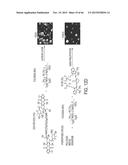 FUCOIDAN NANOGELS AND METHODS OF THEIR USE AND MANUFACTURE diagram and image