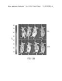 FUCOIDAN NANOGELS AND METHODS OF THEIR USE AND MANUFACTURE diagram and image