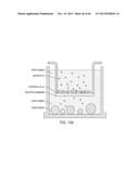 FUCOIDAN NANOGELS AND METHODS OF THEIR USE AND MANUFACTURE diagram and image