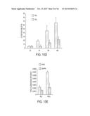 FUCOIDAN NANOGELS AND METHODS OF THEIR USE AND MANUFACTURE diagram and image