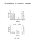 FUCOIDAN NANOGELS AND METHODS OF THEIR USE AND MANUFACTURE diagram and image