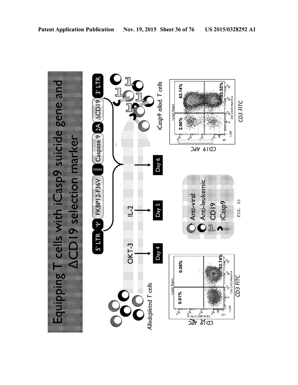 CASPASE POLYPEPTIDES HAVING MODIFIED ACTIVITY AND USES THEREOF - diagram, schematic, and image 37