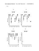 VACCINES WITH HIGHER CARBOHYDRATE ANTIGEN DENSITY AND NOVEL SAPONIN     ADJUVANT diagram and image