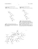 VACCINES WITH HIGHER CARBOHYDRATE ANTIGEN DENSITY AND NOVEL SAPONIN     ADJUVANT diagram and image