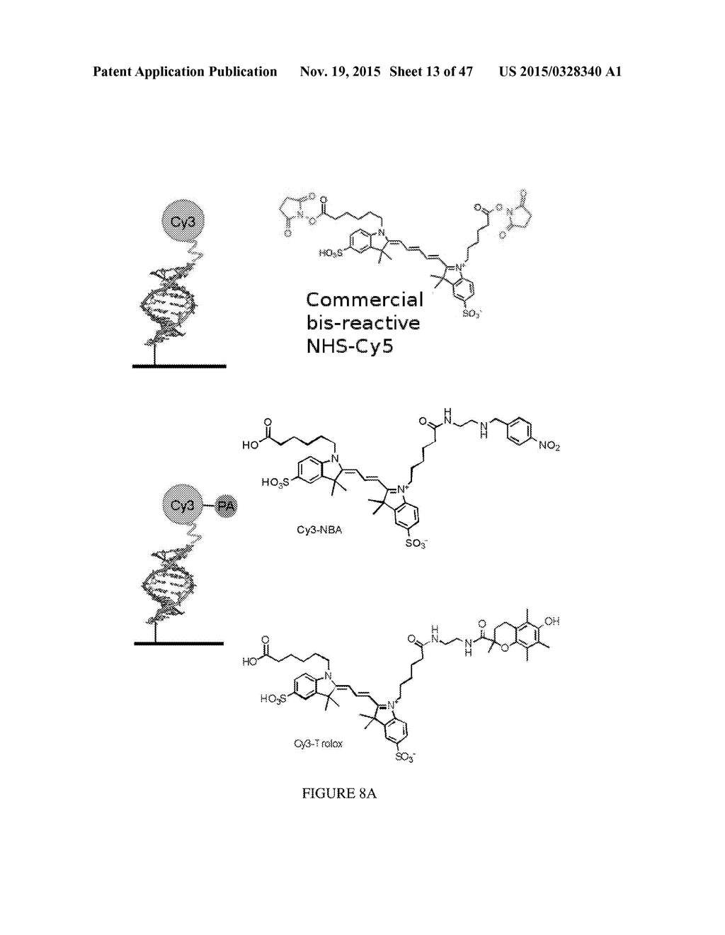 METHODS AND COMPOSITIONS FOR ALTERING PHOTOPHYSICAL PROPERTIES OF     FLUOROPHORES VIA PROXIMAL QUENCHING - diagram, schematic, and image 14