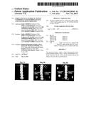 POROUS POLYSACCHARIDE SCAFFOLD COMPRISING NANO-HYDROXYAPATITE AND USE FOR     BONE FORMATION diagram and image