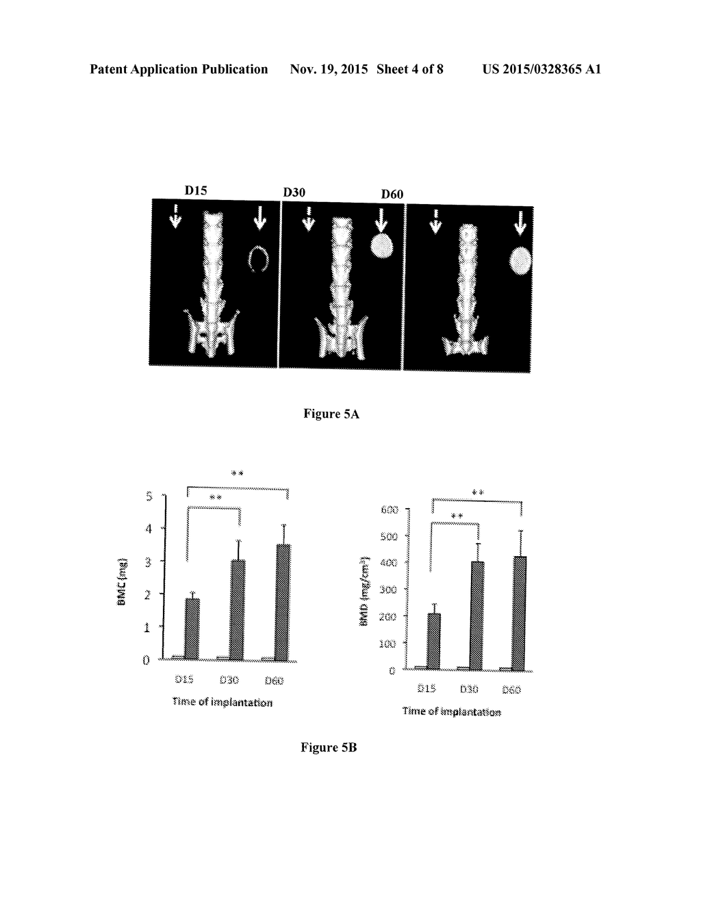 POROUS POLYSACCHARIDE SCAFFOLD COMPRISING NANO-HYDROXYAPATITE AND USE FOR     BONE FORMATION - diagram, schematic, and image 05