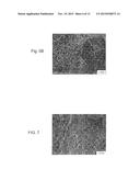 METHOD OF INHIBITING THICKENING OF VASCULAR INTIMA diagram and image