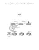 MICROSTRUCTURE-BASED DRUG DELIVERY SYSTEM COMPRISING MICROPOROUS STRUCTURE diagram and image