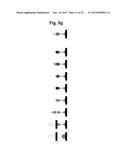 MICROSTRUCTURE-BASED DRUG DELIVERY SYSTEM COMPRISING MICROPOROUS STRUCTURE diagram and image