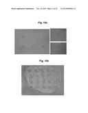 MICROSTRUCTURE-BASED DRUG DELIVERY SYSTEM COMPRISING MICROPOROUS STRUCTURE diagram and image